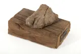 Z cyklu Anatomia by Magdalena Abakanowicz, 2009, drewno, tkanina jutowa, żywica, sold Sep 2023