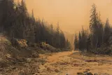 Michał Gorstkin-Wywiórski, Górski potok