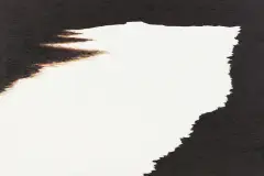 Tomasz Tatarczyk, Bez tytułu (Meandry 2), 2005, olej, płótno