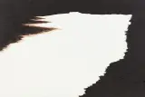 Tomasz Tatarczyk, Bez tytułu (Meandry 2), 2005, olej, płótno