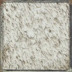 Leszek Knaflewski, Z cyklu Reinkarnacje, 2002, korzeń, ziemia, włosy, flizelina, pleksi, aluminium, płyta pilśniowa