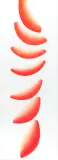 Wojciech Fangor, Red moons 2, 1961/2010