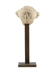 Magdalena Abakanowicz, z cyklu Portrety anonimowe, 1989, płótno bawełniane, żywica, podstawa drewniana