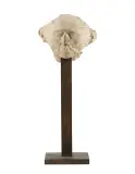 z cyklu Portrety anonimowe by Magdalena Abakanowicz, 1989, płótno bawełniane, żywica, podstawa drewniana, sold Sep 2025