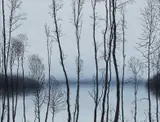 Rafał Borcz, Styczeń, 2010, olej, płótno