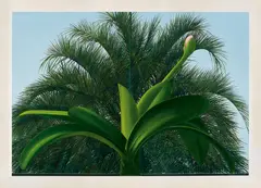 William Delafield Cook, A Plant and a Tree 1971, 1971, synthetic polymer paint on canvas