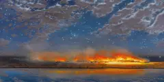 Night Reflection (2010) by Tim Storrier, 2010, synthetic polymer paint on canvas, sold Nov 2016