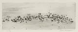 Fred Williams, Summit in the You Yangs (1965-1966), 1965-1966, etching, engraving and scraper on Arches paper, 3rd state of 3