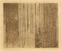 Fred Williams, Echuca Landscape (1961), 1961, engraving, aquatint and drypoint in sepia on cream linen finish cartridge paper, 15th state of 16