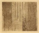 Fred Williams, Echuca Landscape (1961)