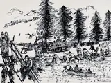 William Robinson, Brunswick Heads Park 2009, 2009, ink on paper