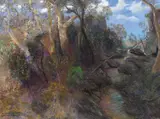 William Robinson, Goomoolahra Creek 2000