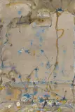 John Olsen, Rookery, Jackboot Bay, Lake Eyre (2001)