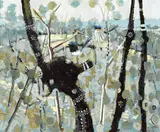 Clifton Pugh, Wrens 1976