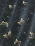 Lin Onus, Butterflies (1994), 1994, synthetic polymer paint on card