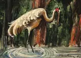 Albert Tucker, Brolga I 1964