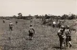 Robert Capa, VIETNAM May 25 1954