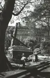 Macquarie Place 1937 by Max Dupain, 1937, silver gelatin photograph, printed later, offered Apr 2016
