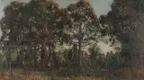 Jessie Traill, (Australian Bush Scene) 1927