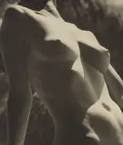 Max Dupain, Nude in Sunlight 1935