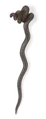Bronwyn Oliver, Trickle (2004), 2004, copper