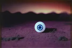 Ronnie van Hout, Eyeball (2000), 2000, Type C photograph