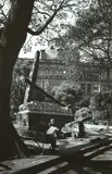 Macquarie Place 1937 by Max Dupain, 1937, silver gelatin photograph, printed later, offered Jul 2015