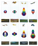 David Sequeira, Perfect Kingdom Series (1999), 1999, gouache on paper (8)