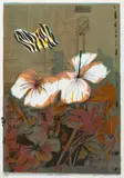 Charles Blackman, Tiger Butterfly 1970