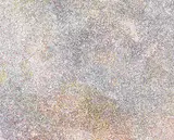 Kathleen Ngal, My Country (2002), 2002, synthetic polymer paint on canvas
