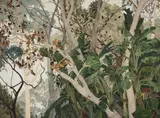 Cressida Campbell, Banksias (2004)