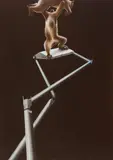 Sam Leach, The Lift (2009)