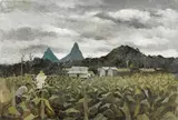 Ray Crooke, (Tobacco Farm), oil on composition board