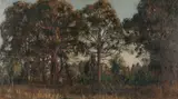 Jessie Traill, (Australian Bush Scene) 1927, 1927, oil on canvas on board