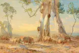 Hans Heysen, Travelling Sheep 1910