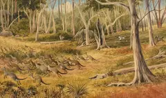 Edward Roper, Kangaroo Hunt, watercolour on paper