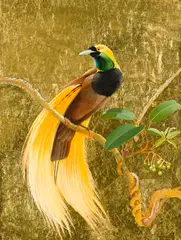 Blake Twigden, Greater Bird of Paradise and Berries 1987, 1987, oil and gold-leaf of composition board