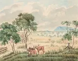 Robert Hoddle, Sketch from Main's Station near Moonee Moonee Ponds Ford, watercolour over pencil on paper