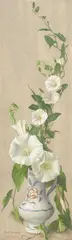 Eliot Hodgkin, Convolvulus 1953, 1953, tempera on paper