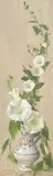 Eliot Hodgkin, Convolvulus 1953, 1953, tempera on paper