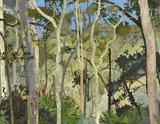 Cressida Campbell, Eucalypts (1999)