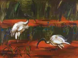Albert Tucker, Ibis Feeding 1965, 1965, synthetic polymer paint on composition board