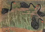 Dorrit Black, Black Swans (1937)
