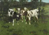 David Gauld, (Three Calves), oil on canvas
