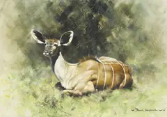 David Shepherd, Kudu Calf 1968, 1968, oil on canvas