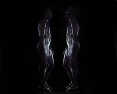 Brook Andrew, Narcissus (2003), 2003, cibachrome print