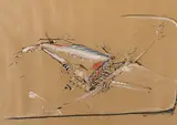 William Rose, (Untitled), pastel and ink on paper