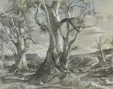 Hans Heysen, Moralana (circa 1940), 1940, charcoal and chalk on paper