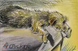 Albert Tucker, (The Dog) (circa 1933), 1933, pastel and pencil on paper