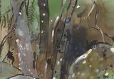 Albert Tucker, Springbrook (1973), 1973, watercolour on paper